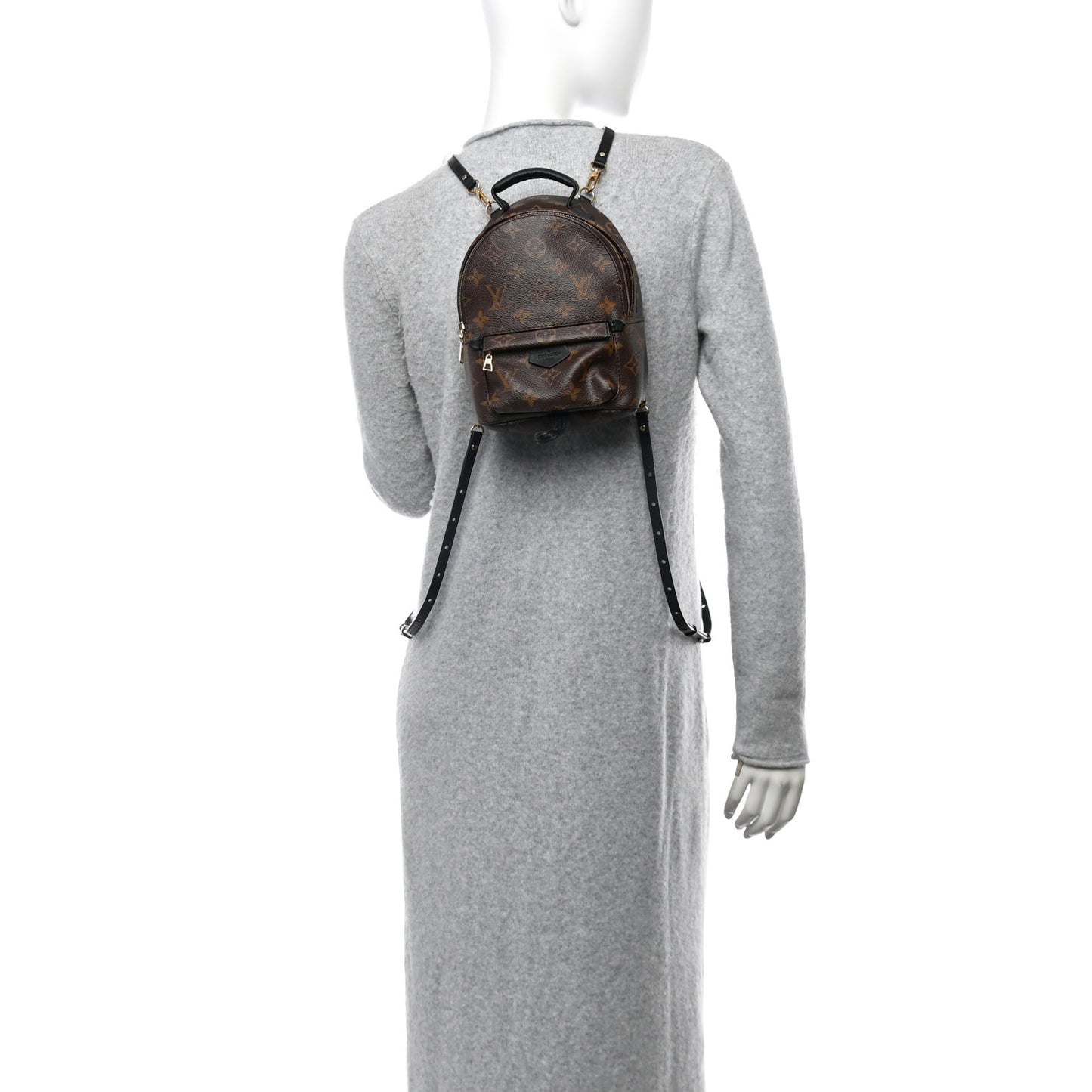 Monogram Palm Springs Backpack Mini