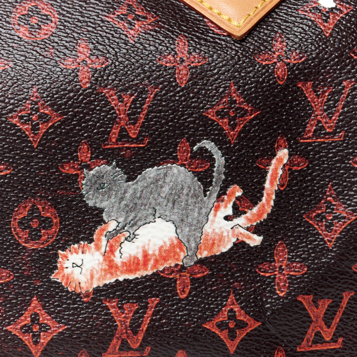 Louis Vuitton Catogram Speedy Bandouliere 30 Marron 12 of 15