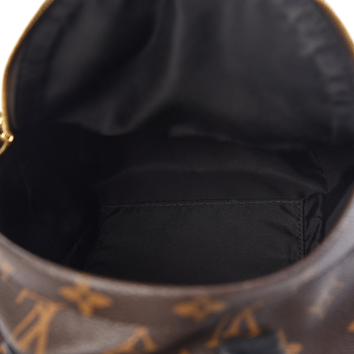 Louis Vuitton Monogram Palm Springs Backpack Mini 5 of 15