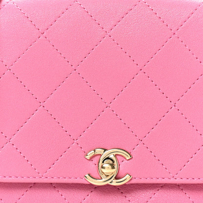 Chanel Goatskin Stitched Casual Trip Single Flap Pink 8 of 10