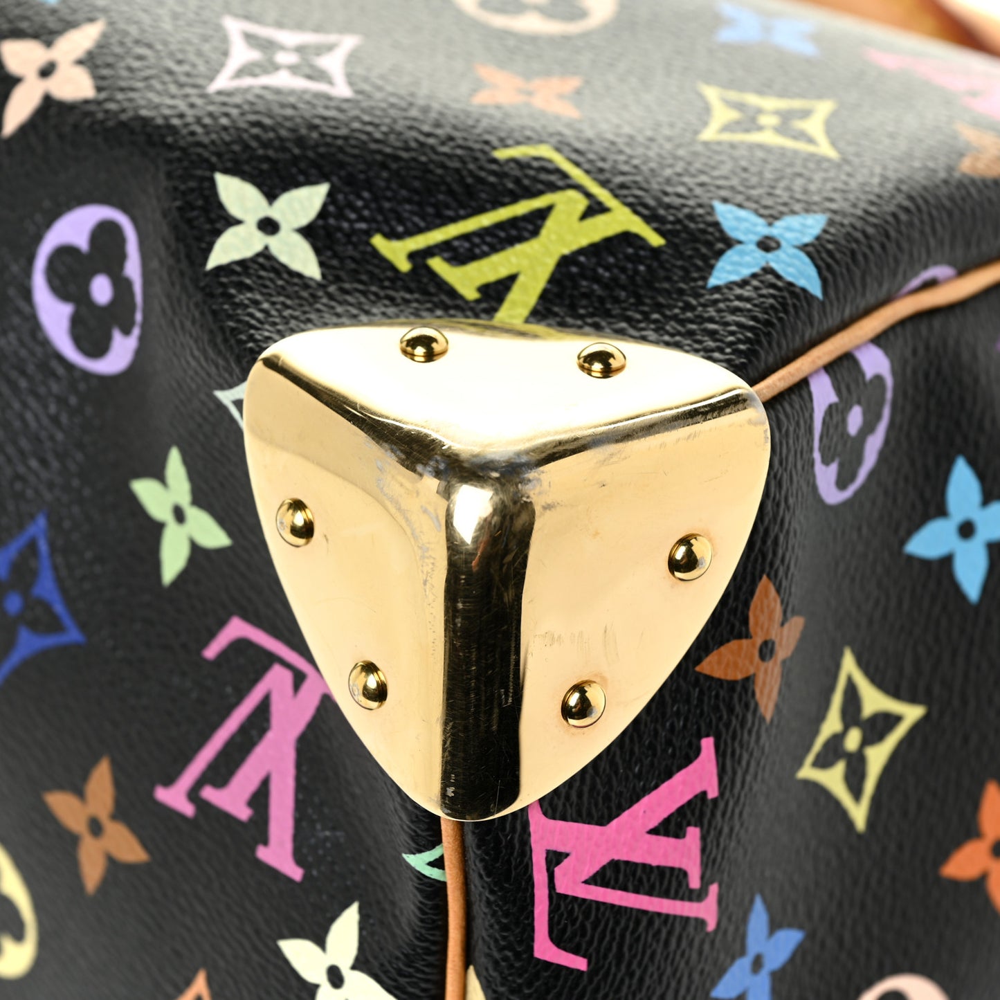 Monogram Multicolor Speedy 30 Black