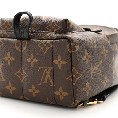Louis Vuitton Monogram Palm Springs Backpack Mini 10 of 14