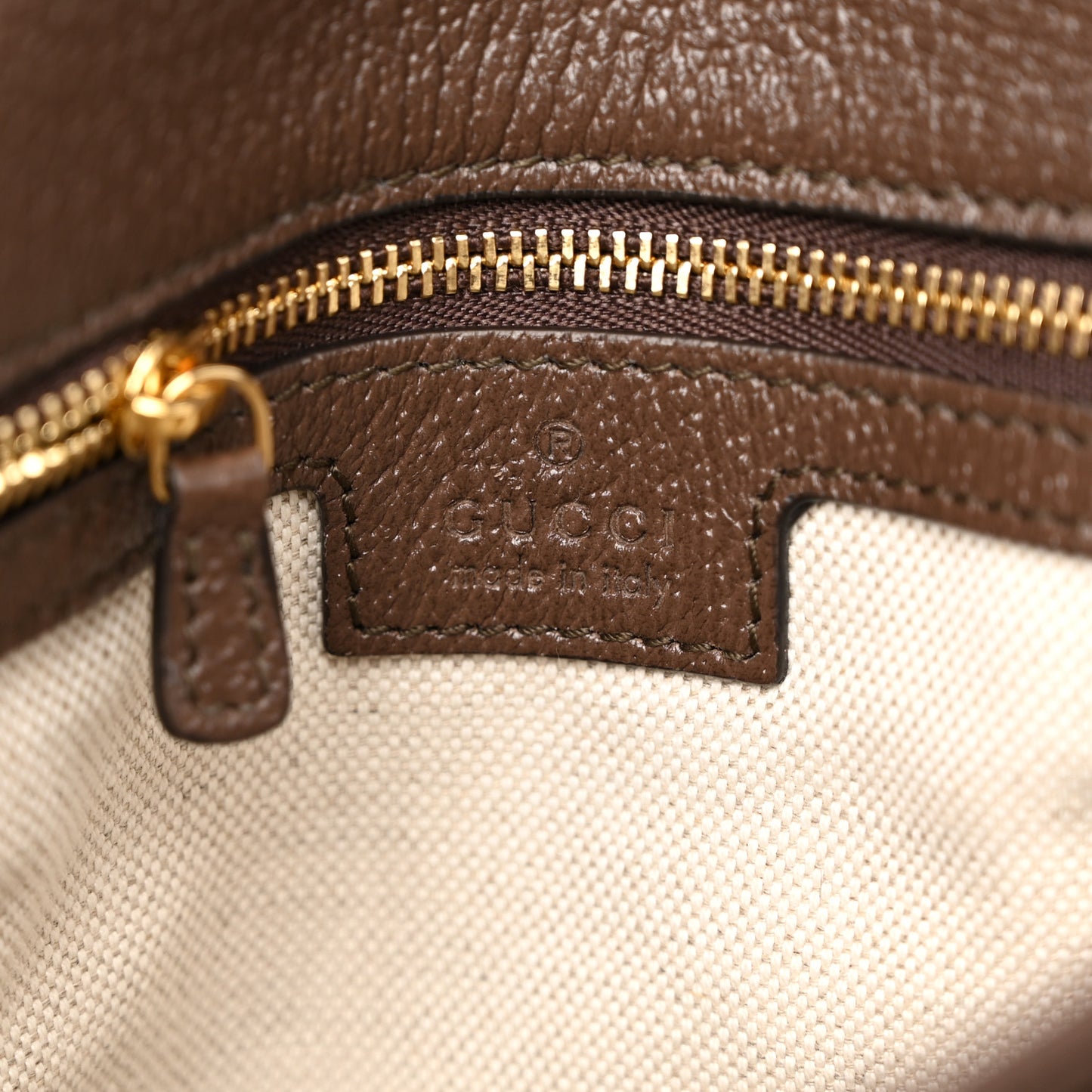 GG Supreme Monogram Textured Dollar Calfskin Web Medium Blondie Top Handle Shoulder Flap Bag Beige Ebony New Acero