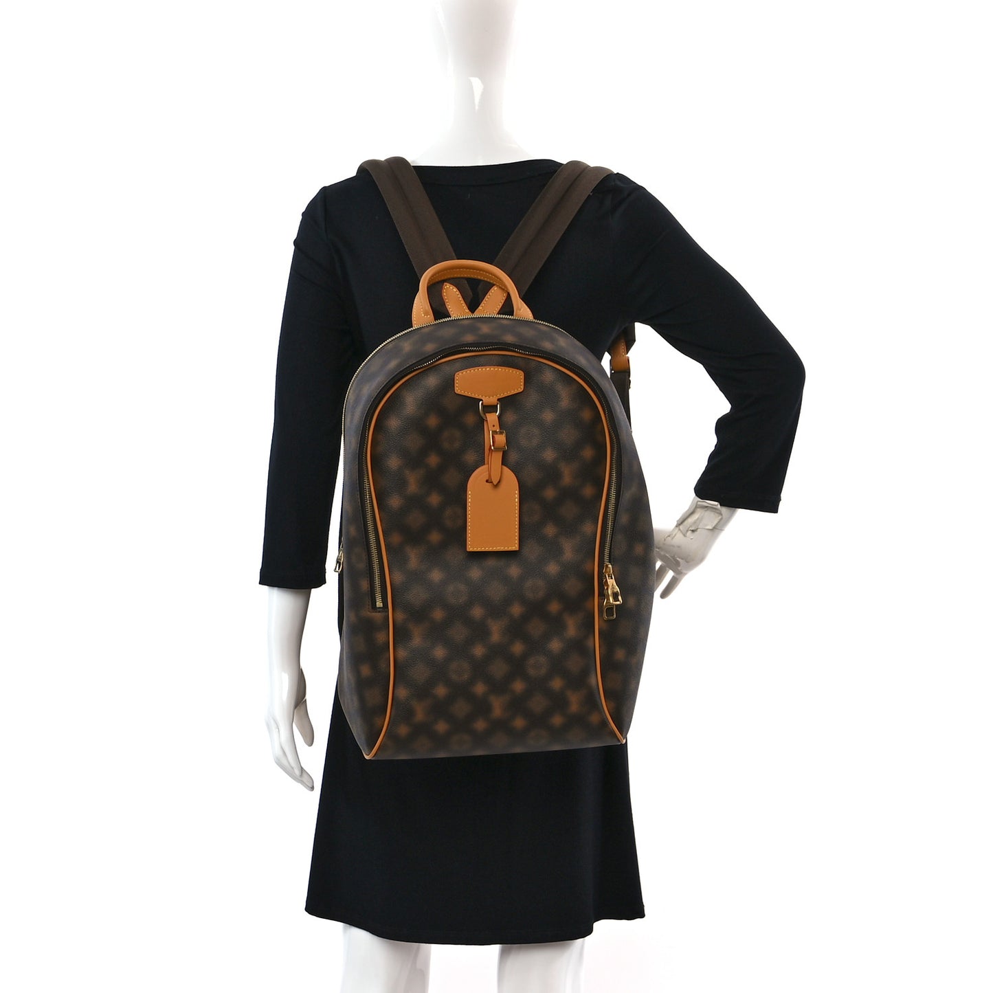 Monogram Blurry Ellipse Backpack