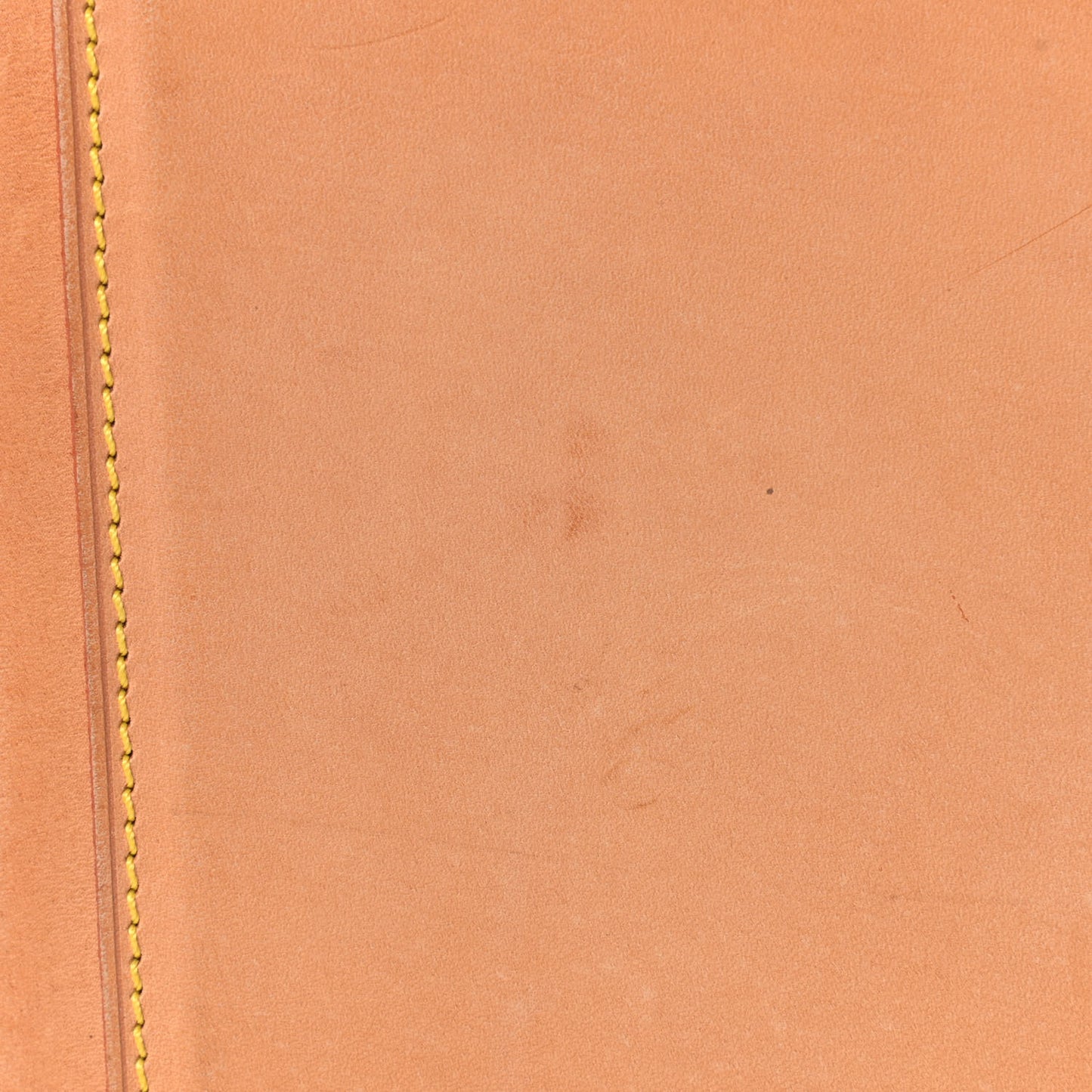 Monogram Cabas Mezzo