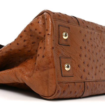 Mulberry Ostrich Bayswater Oak 7 of 8