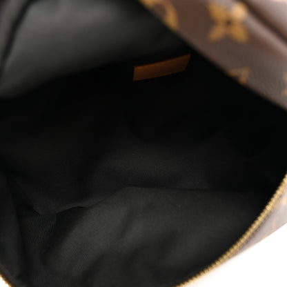 Louis Vuitton Monogram Bumbag 5 of 9