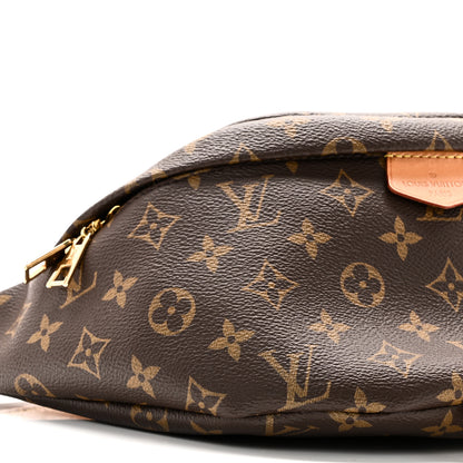Louis Vuitton Monogram Bumbag 8 of 9