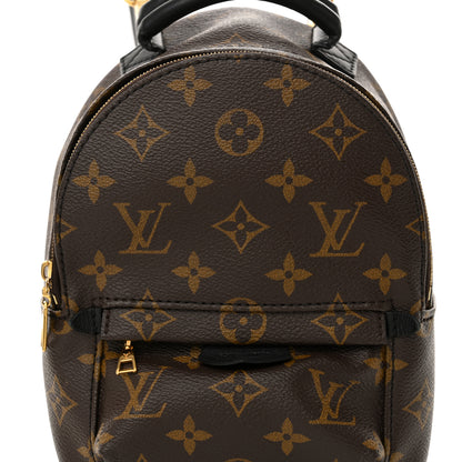 Louis Vuitton Monogram Palm Springs Backpack Mini 7 of 15