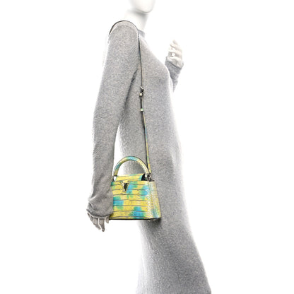 Louis Vuitton Crocodile Mini Capucines  Yellow Blue 2 of 11