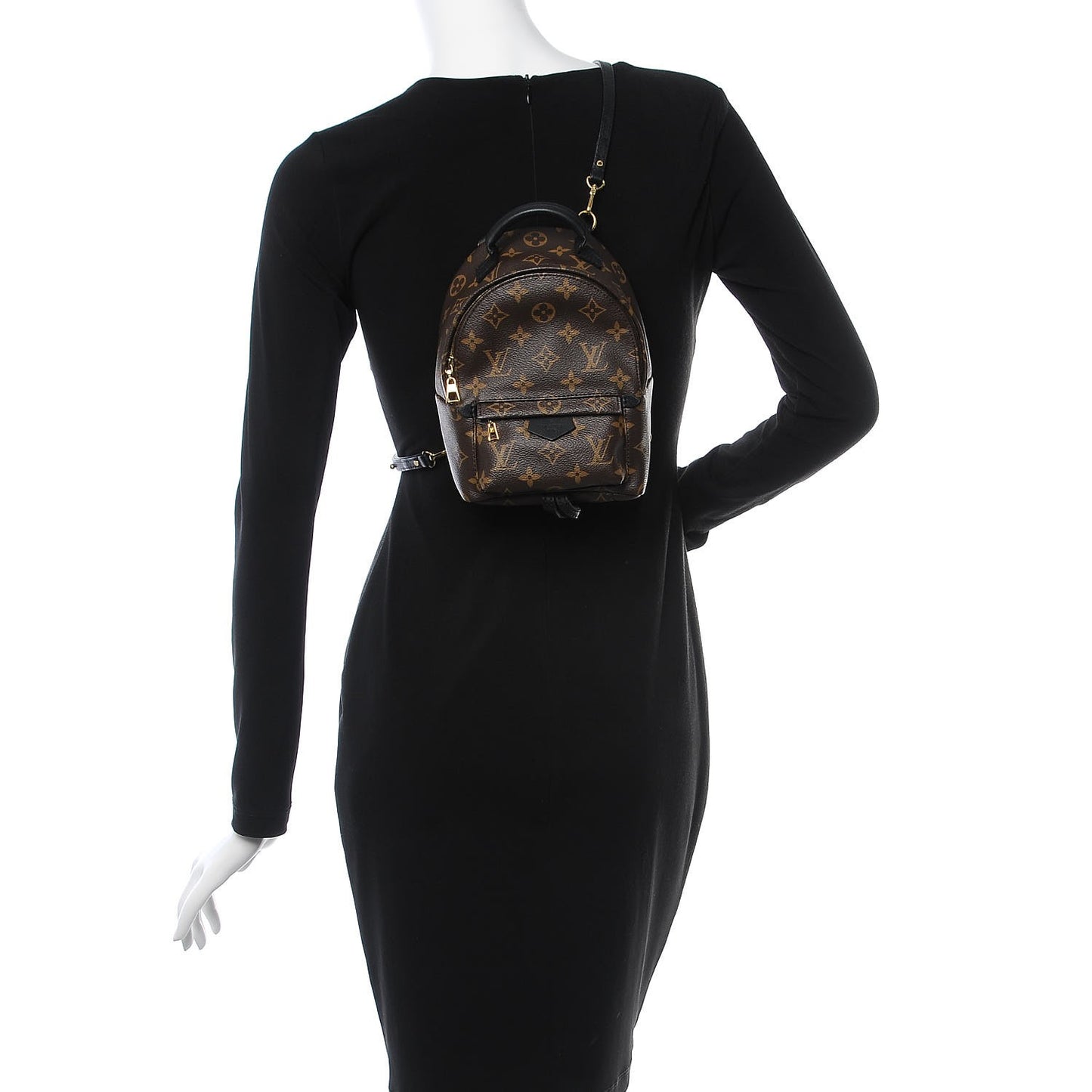 Monogram Palm Springs Backpack Mini