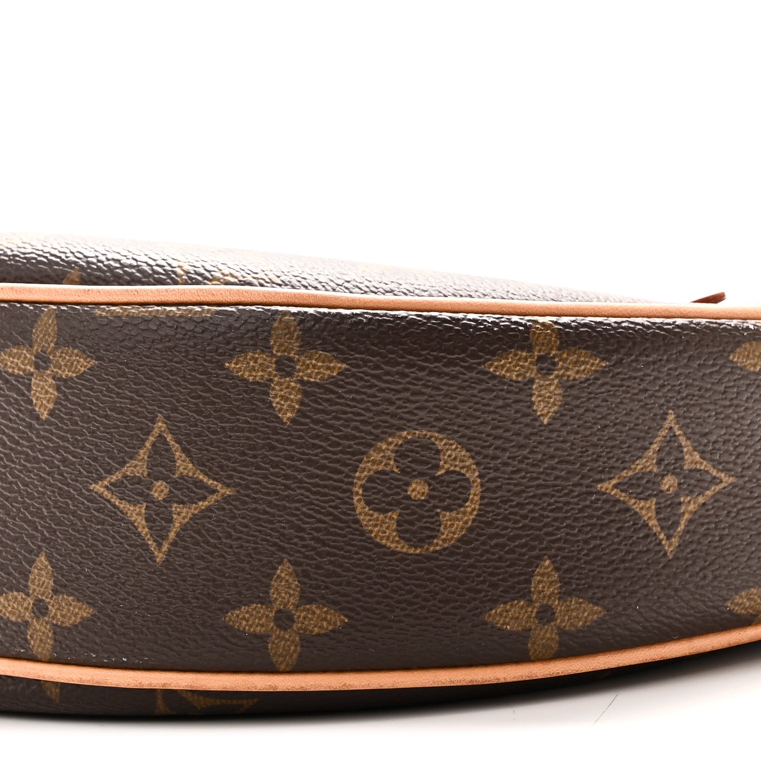 Louis Vuitton Monogram Loop 9 of 9