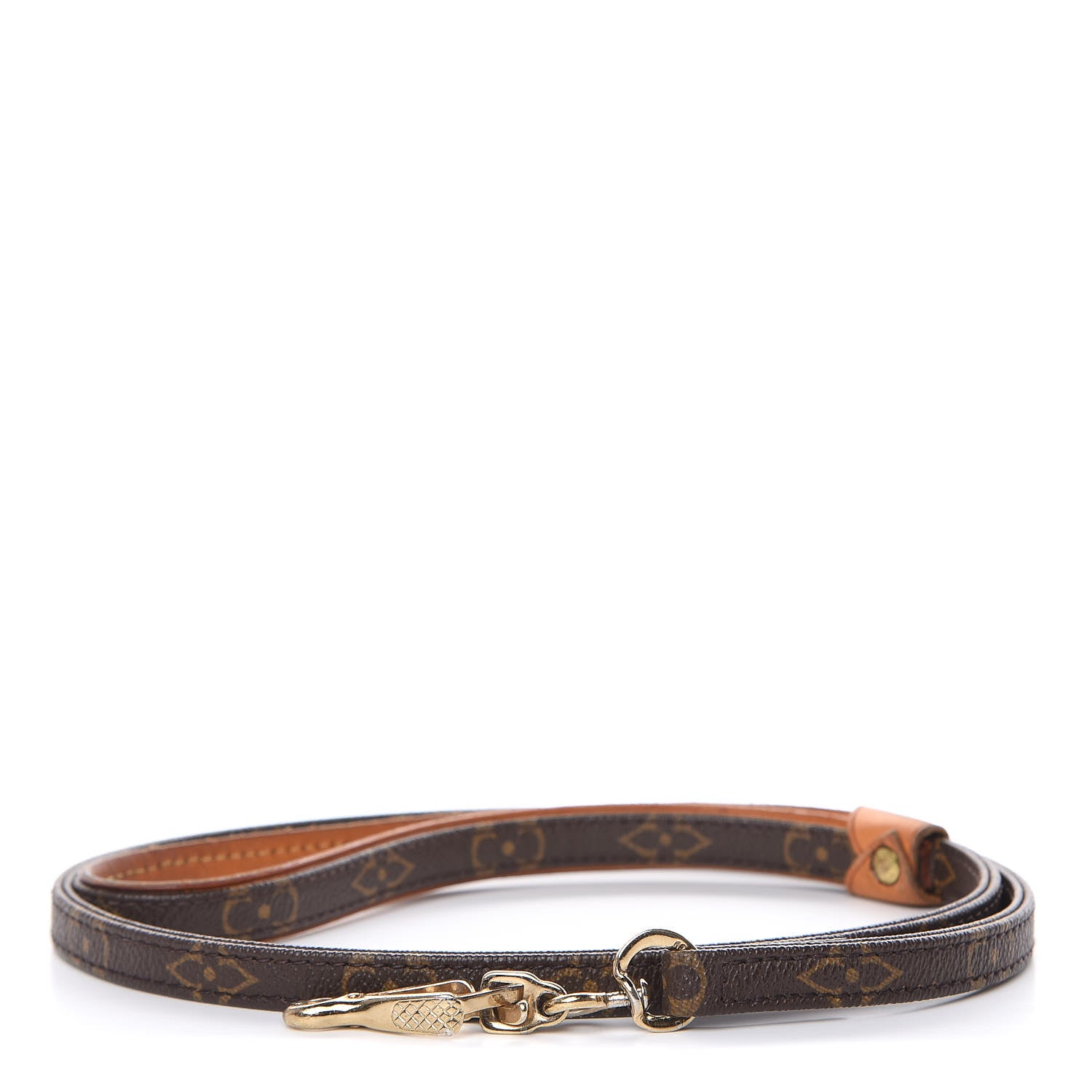 Louis Vuitton Monogram Baxter Dog Leash MM 1 of 4