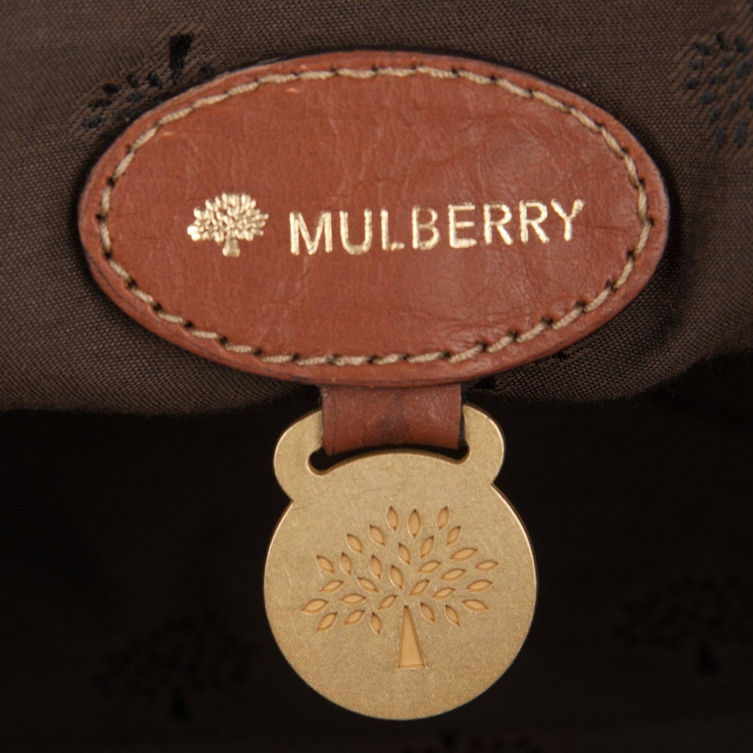 Mulberry Soft Buffalo Medium Alexa Oak 6 of 7