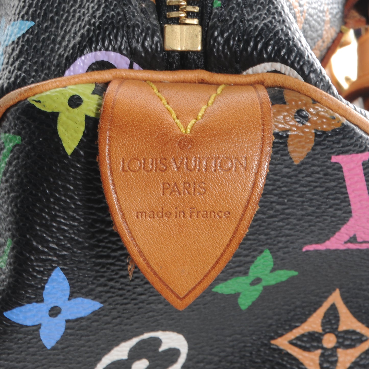 Monogram Multicolor Speedy 30 Black