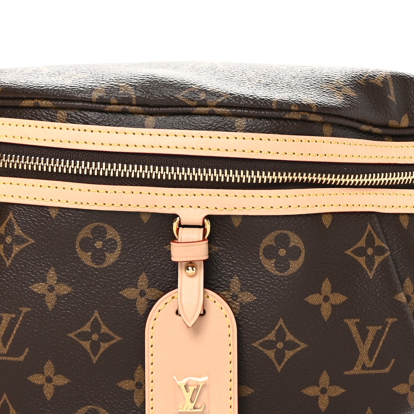 Monogram High Rise Bumbag