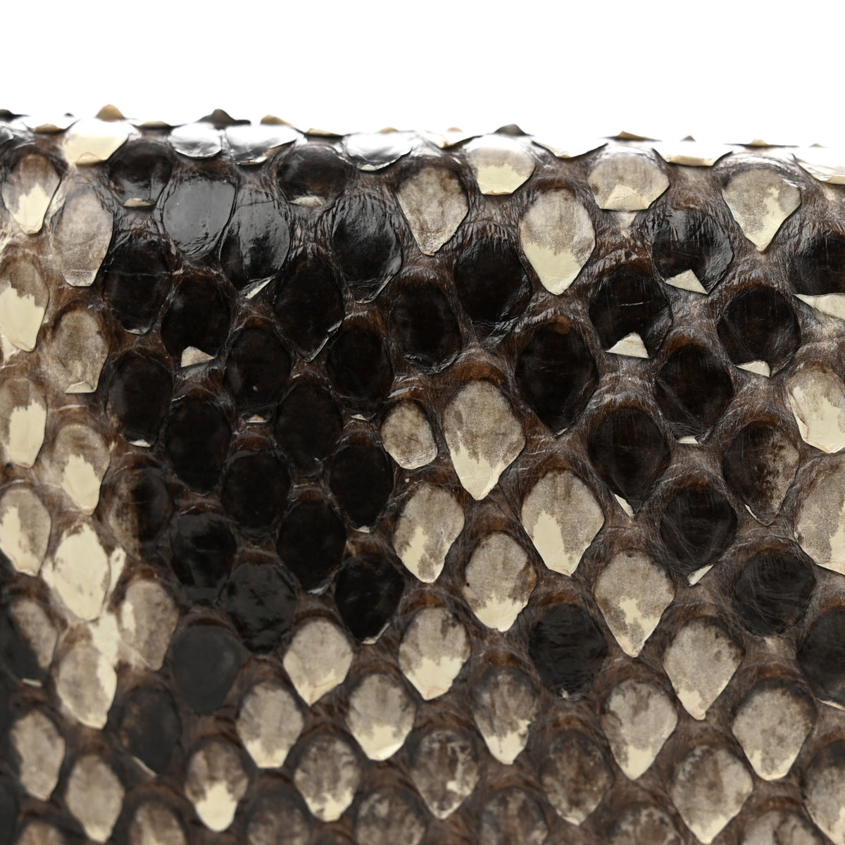 Snakeskin Rossmore MM Natural