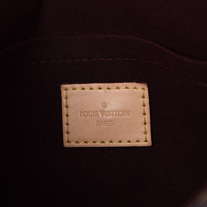Louis Vuitton Monogram Favorite MM 6 of 8
