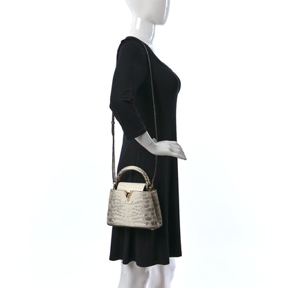 Louis Vuitton Himalaya Crocodile Mini Capucines 2 of 8