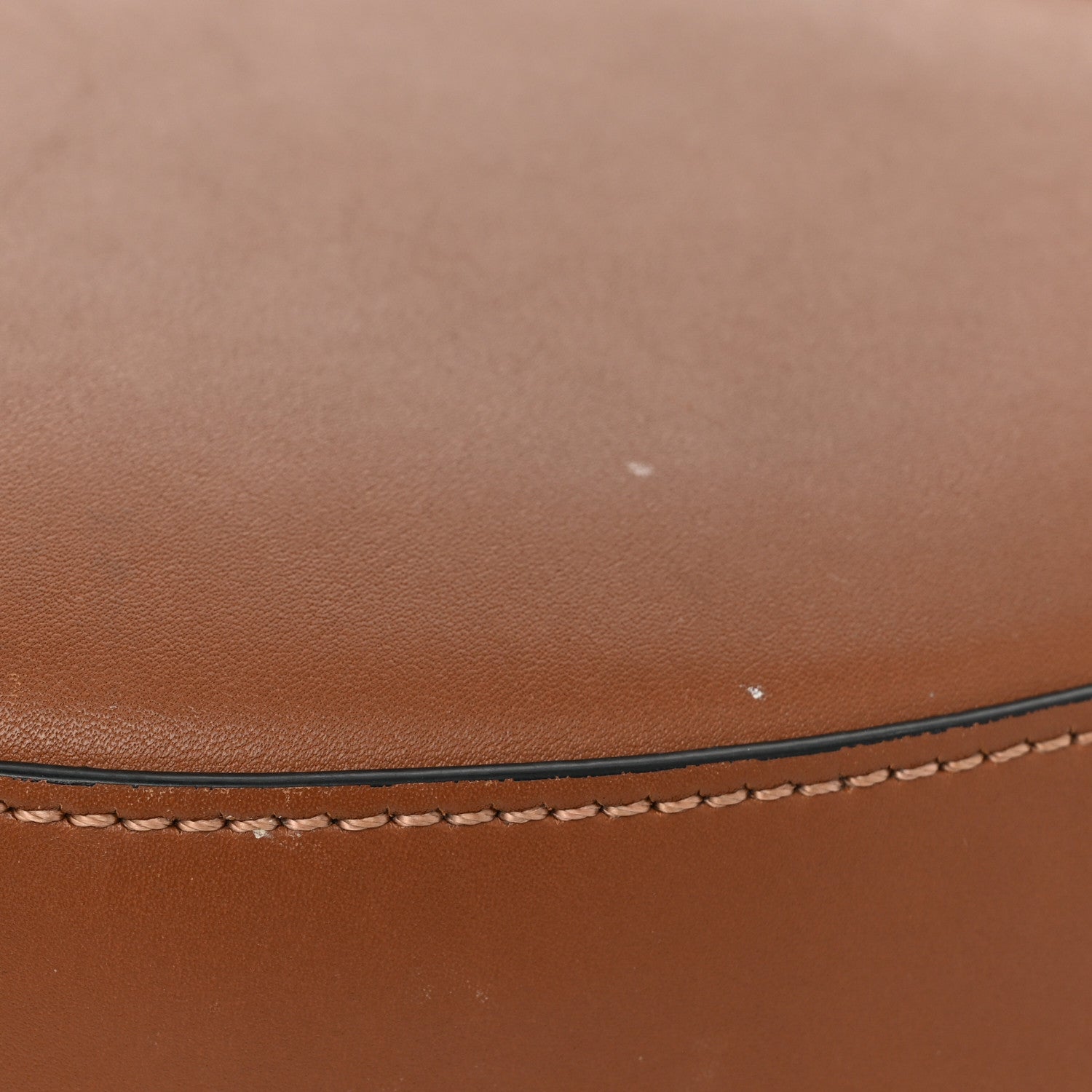 Loewe Satin Calfskin Jacquard Luna Bag Pecan 16 of 19