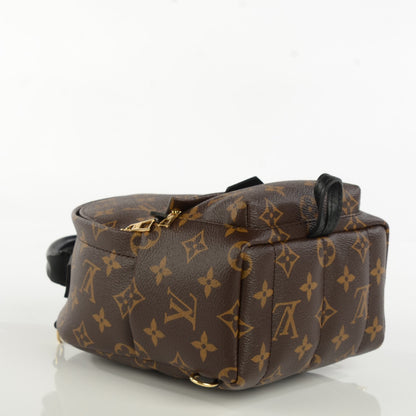 Louis Vuitton Monogram Palm Springs Backpack Mini 8 of 14