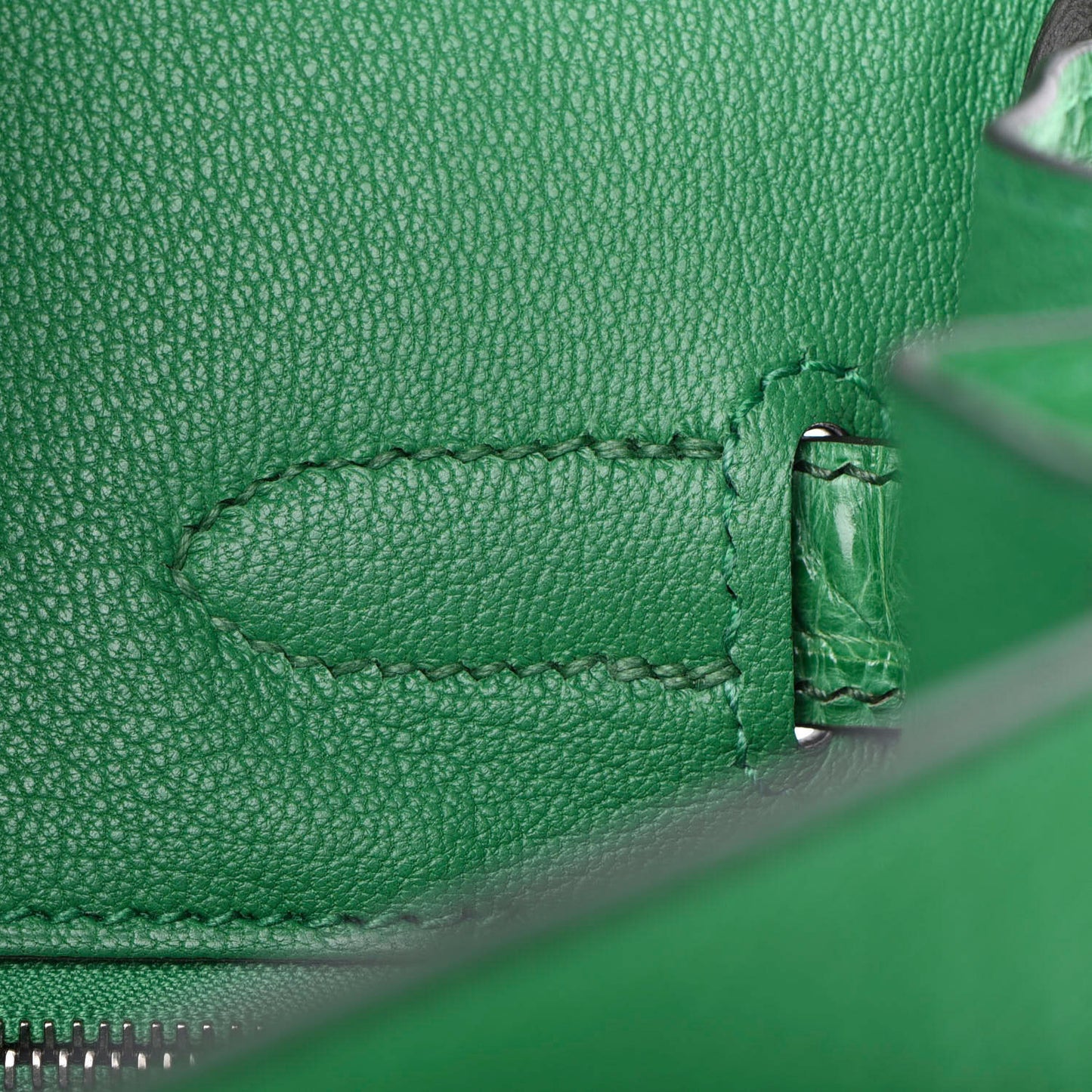 Togo Shiny Niloticus Crocodile Birkin Touch 30 Bamboo Cactus