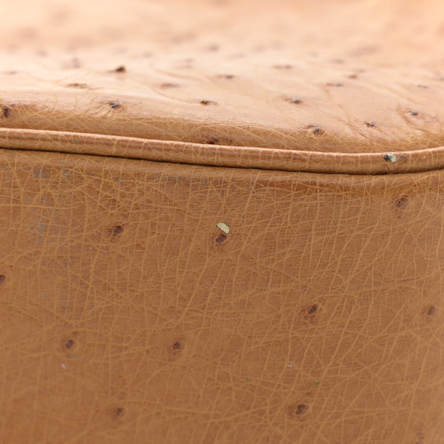 Ostrich Tassel Camera Case