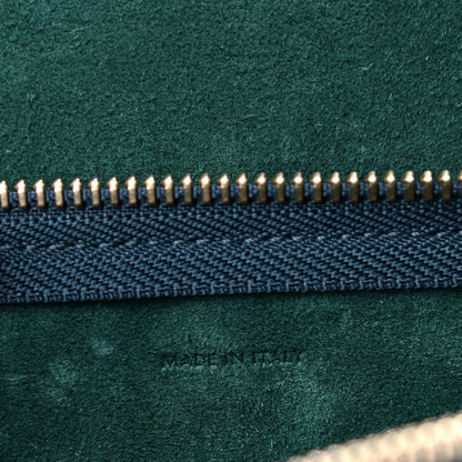 Celine Grained Calfskin Nano Belt Bag Amazone 6 of 9