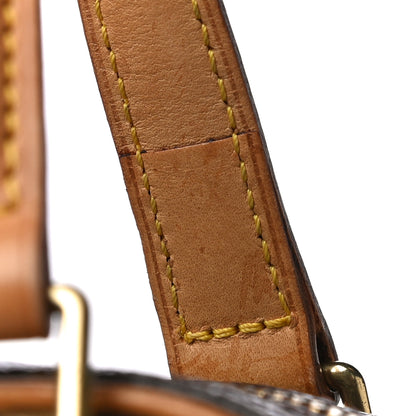 Louis Vuitton Monogram Excentri-Cite 15 of 19