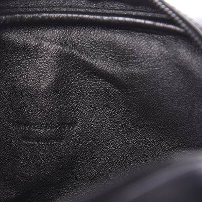 Saint Laurent Canvas Calfskin Metallic Tiger Print Monogram Lou Camera Bag Multicolor 7 of 11