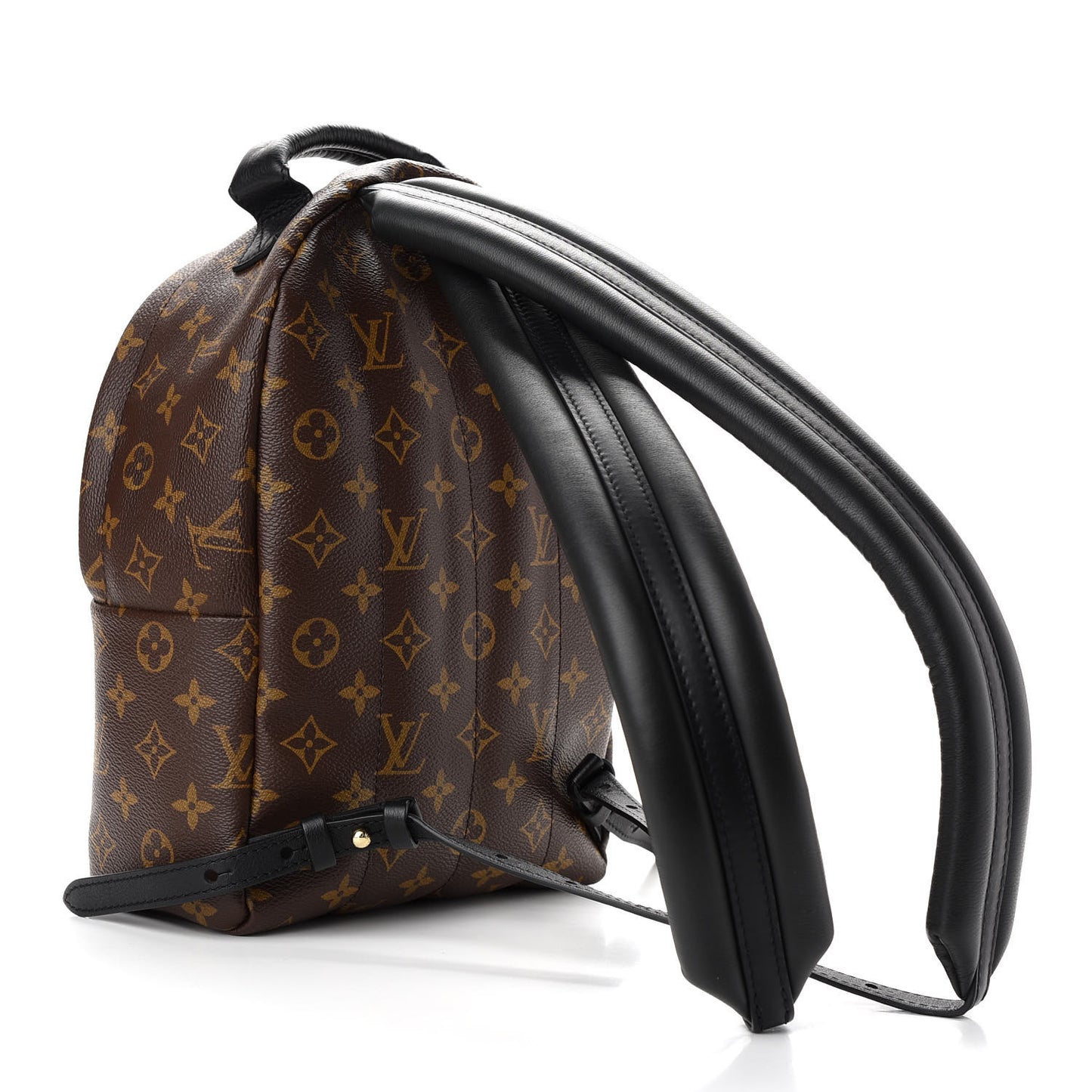 Monogram Palm Springs Backpack PM