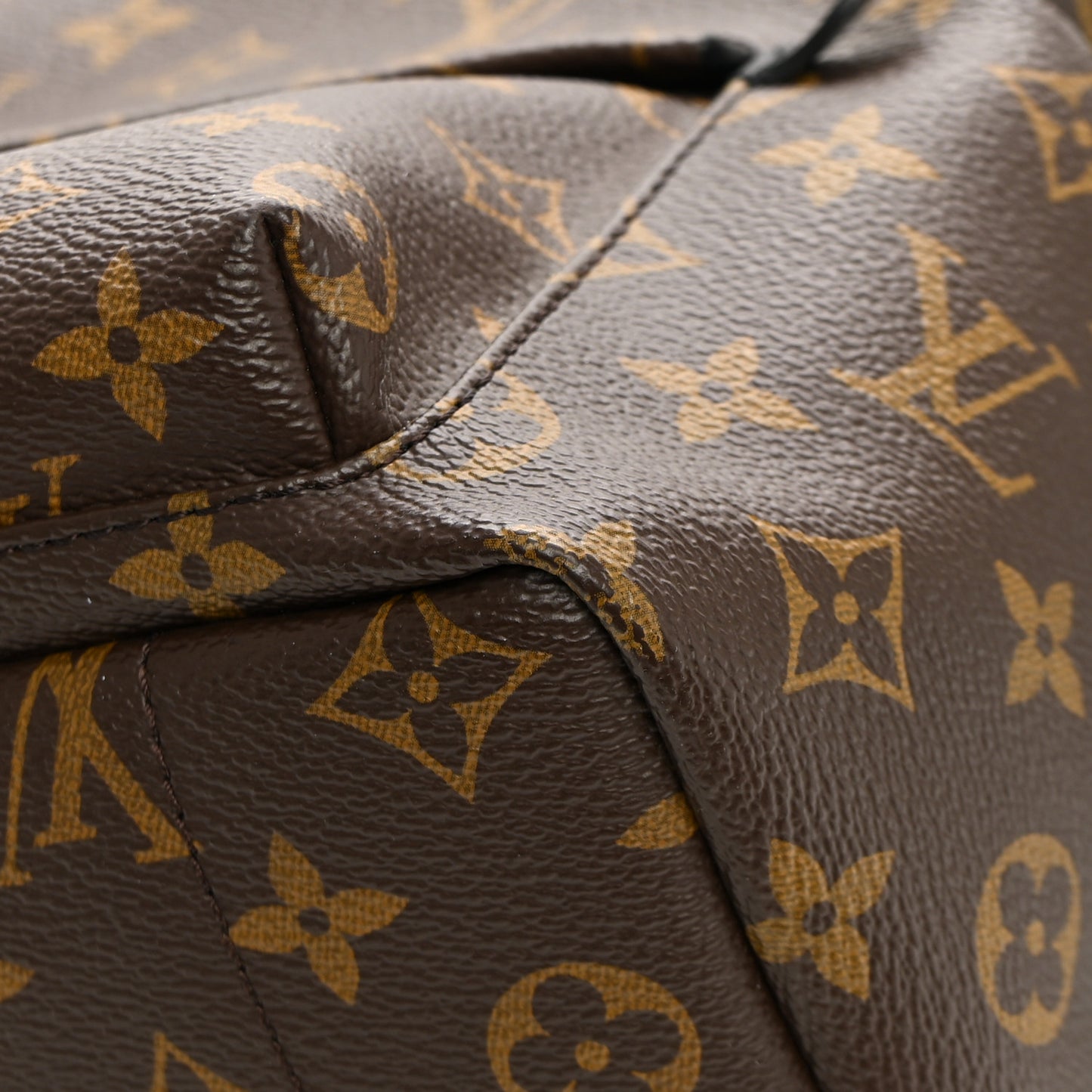 Monogram Palm Springs Backpack PM