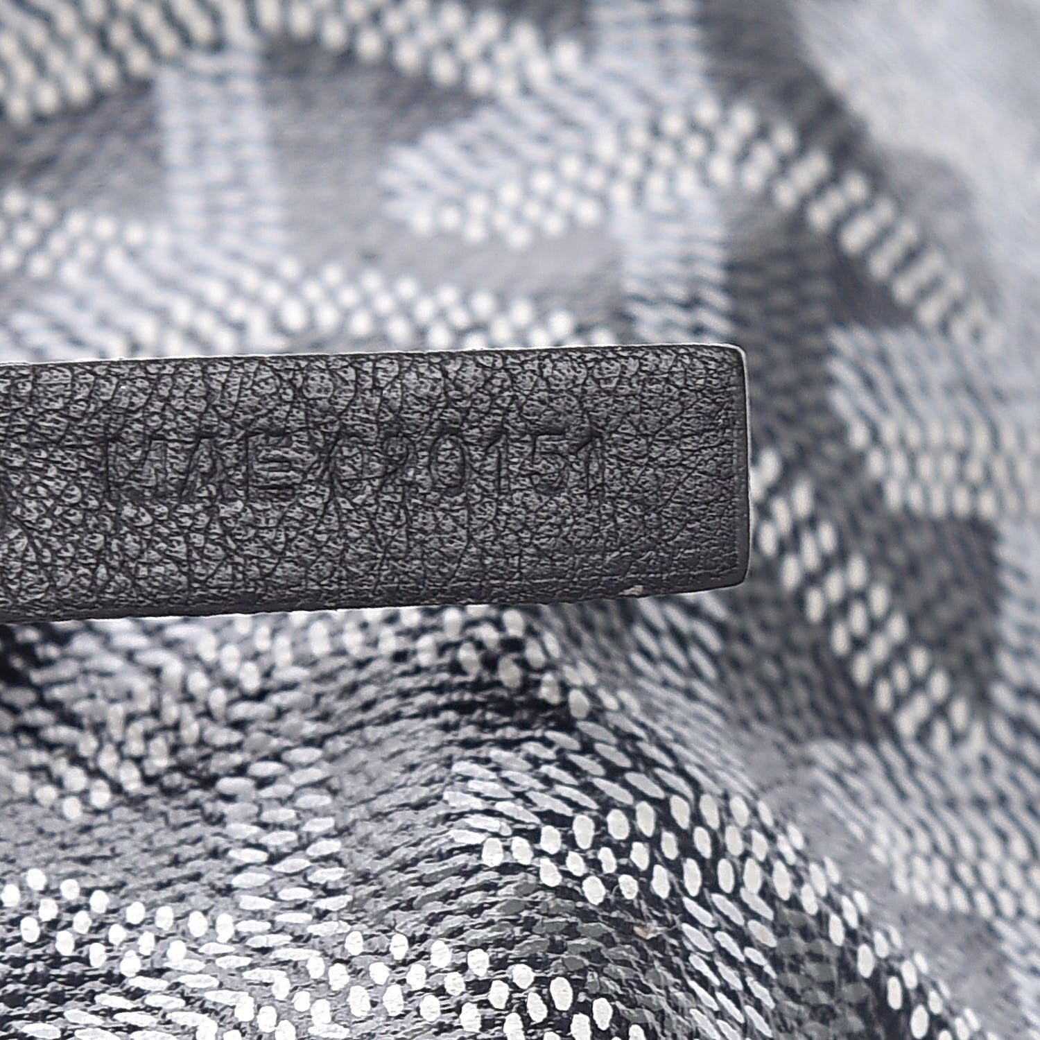 Goyard Goyardine Saint Louis GM Grey 8 of 15