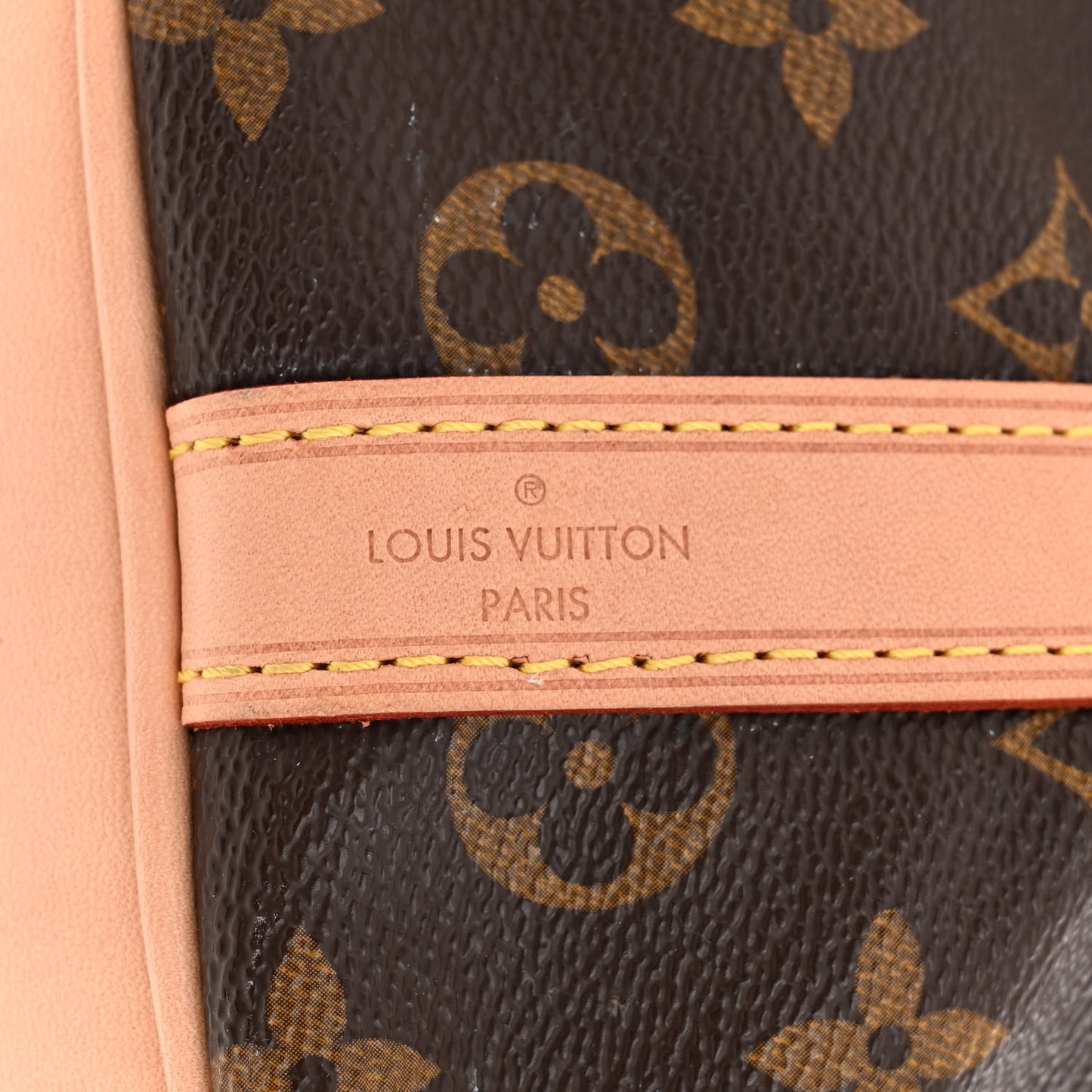 Monogram Petit Noe