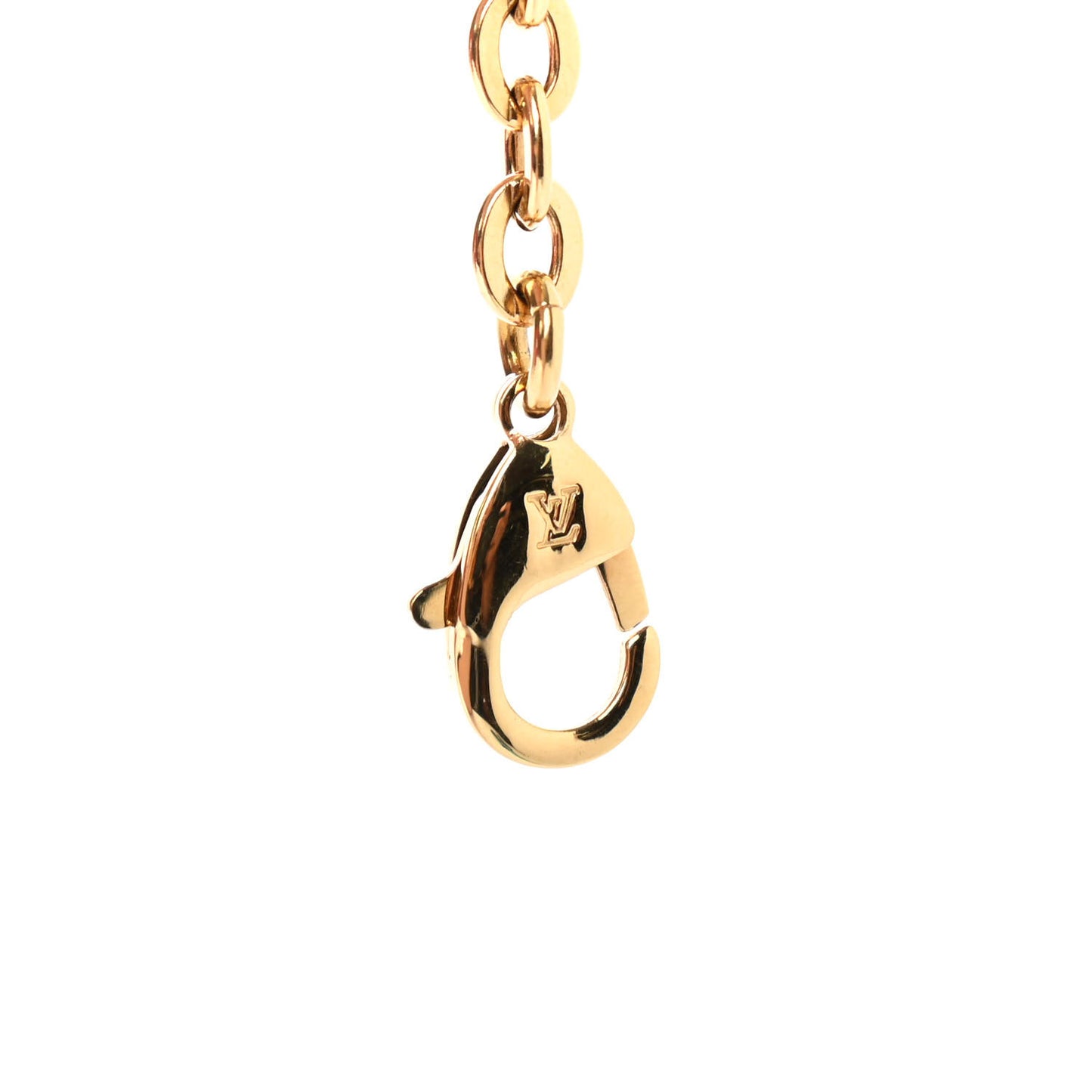 Felicie Chain Long Shoulder Strap