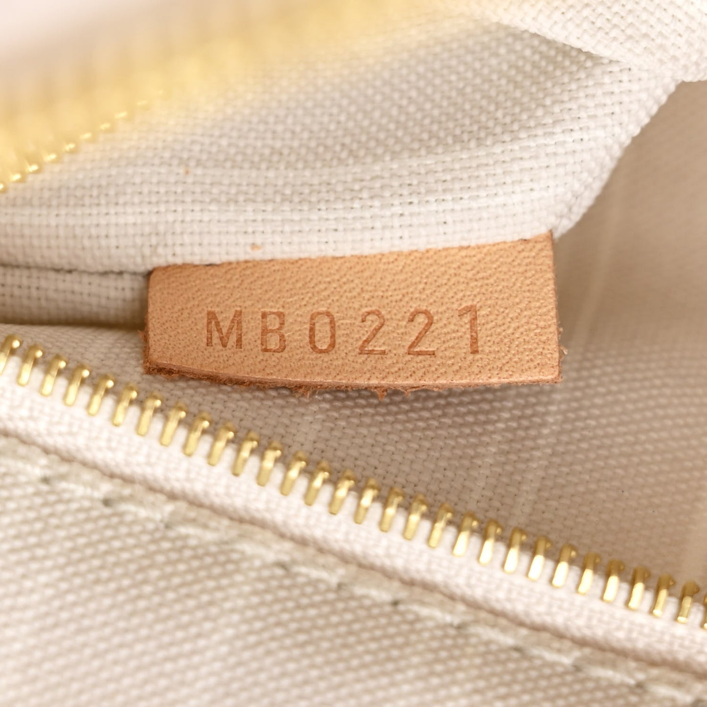 Monogram Giant By The Pool Speedy Bandouliere 25 Brume
