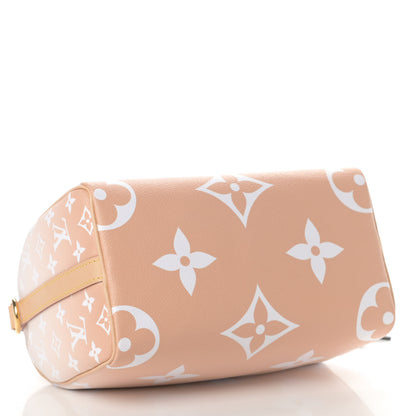 Louis Vuitton Monogram Giant By The Pool Speedy Bandouliere 25 Brume 4 of 10