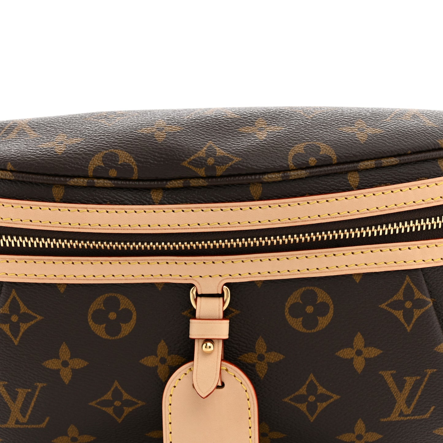 Monogram High Rise Bumbag