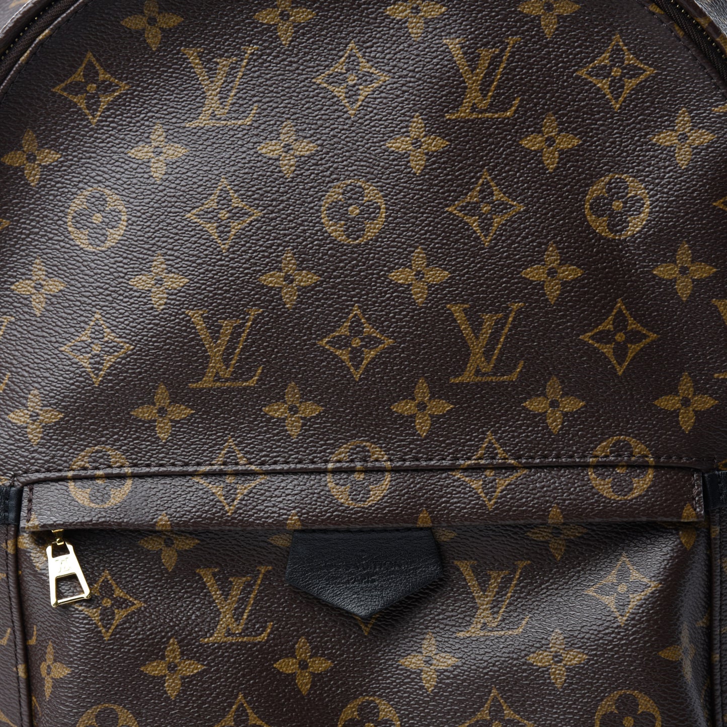 Monogram Palm Springs Backpack MM