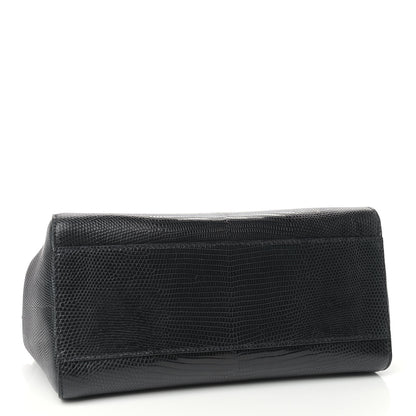 Fendi Lizard XS Peekaboo Iconic Satchel Black 4 of 8
