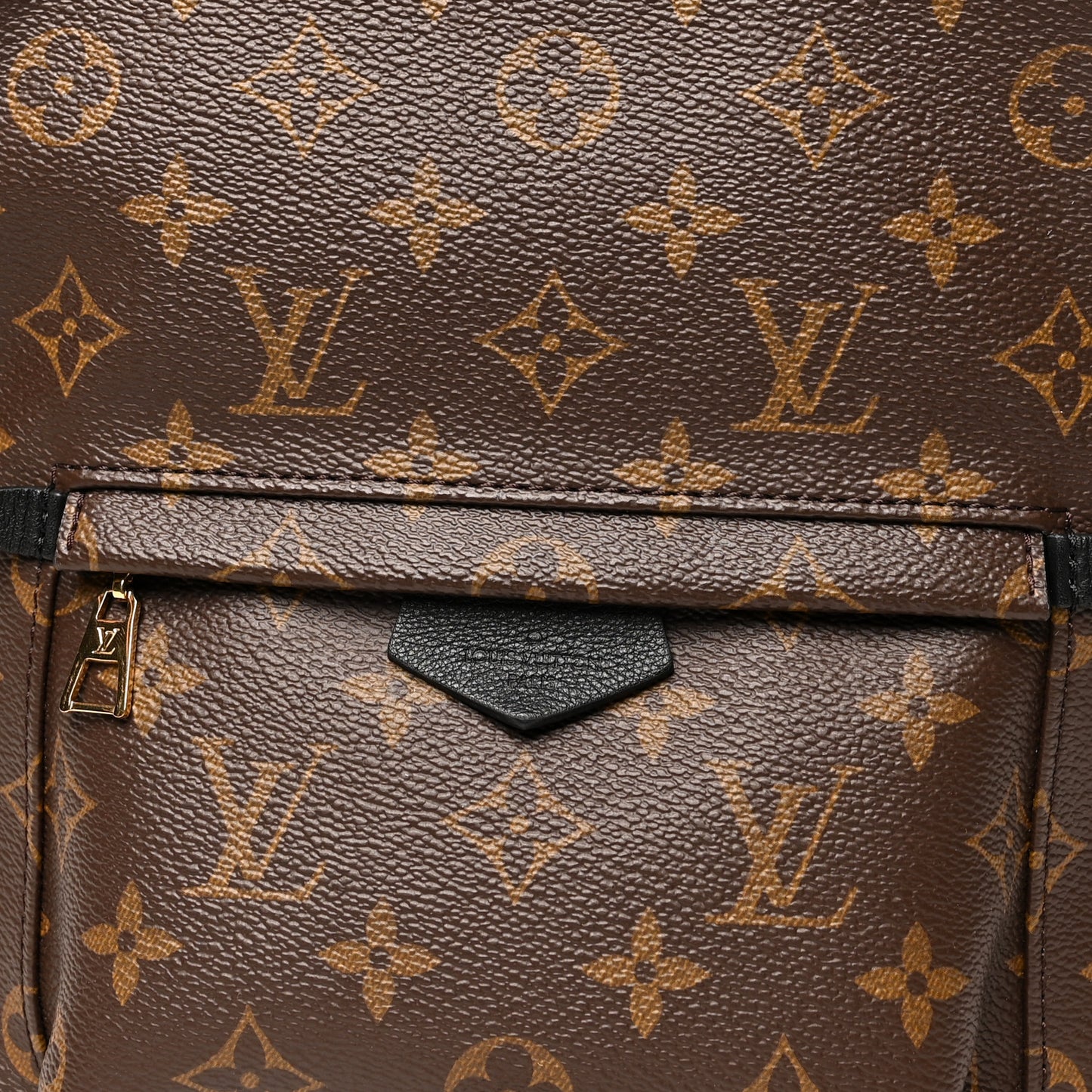 Monogram Palm Springs Backpack PM