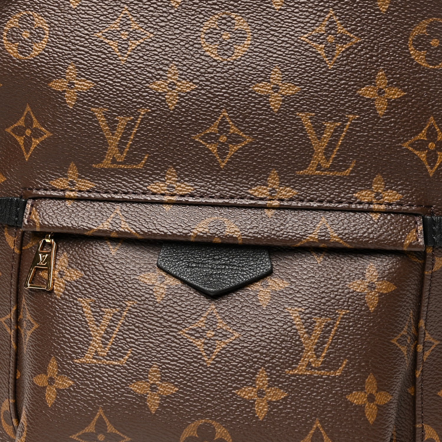 Louis Vuitton Monogram Palm Springs Backpack PM 8 of 10