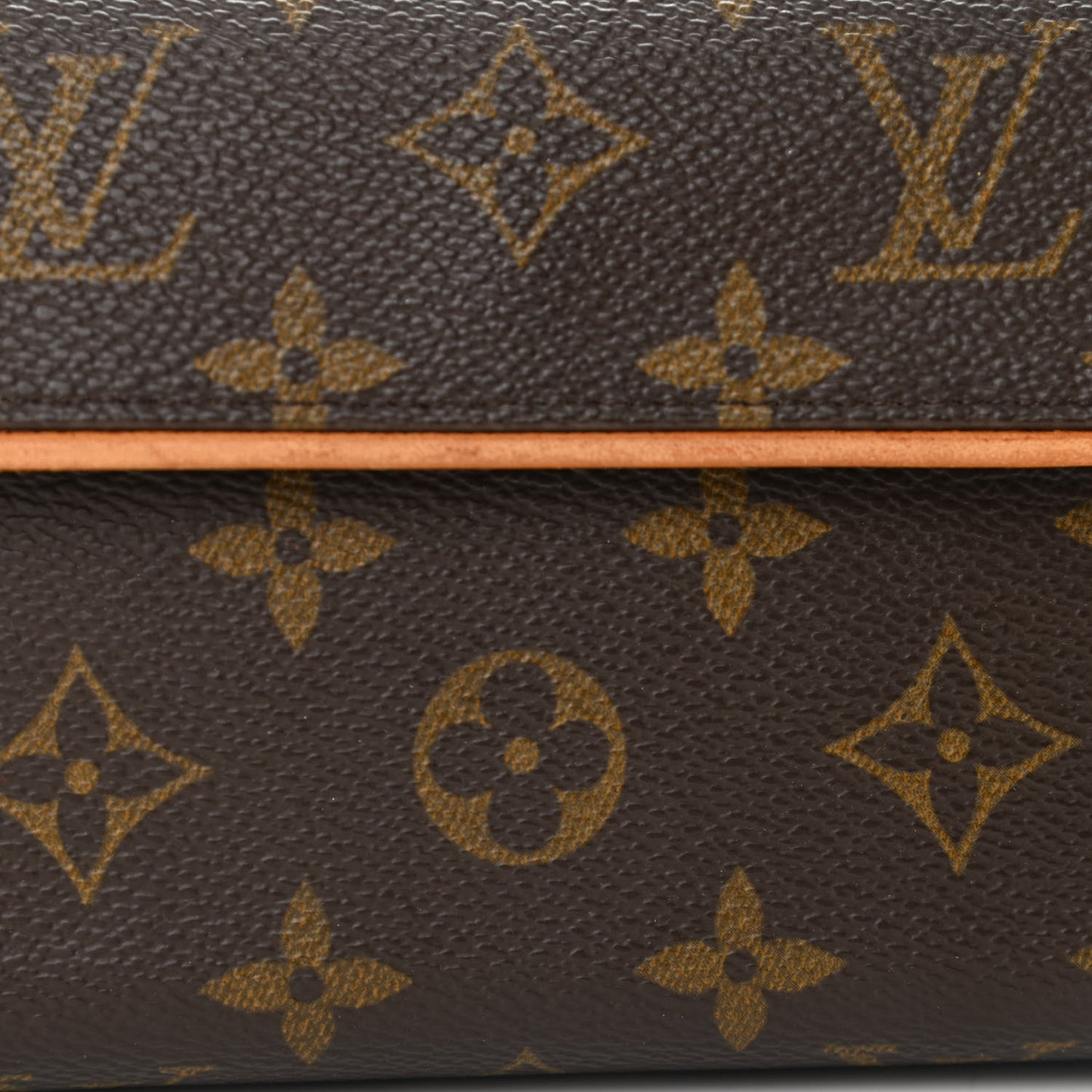Monogram Pochette Florentine XS