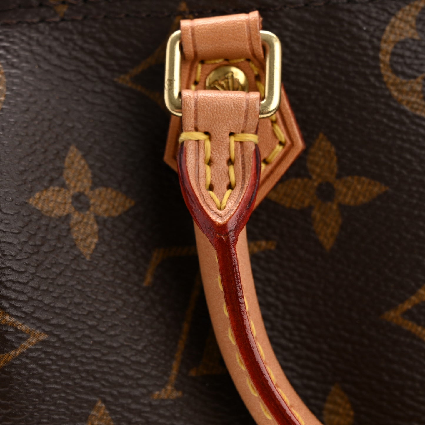 Monogram Nano Speedy