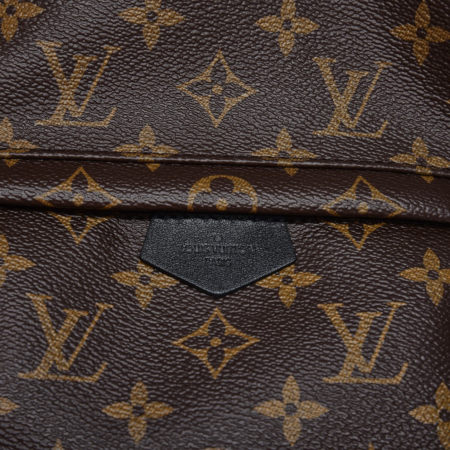 Monogram Palm Springs Backpack PM