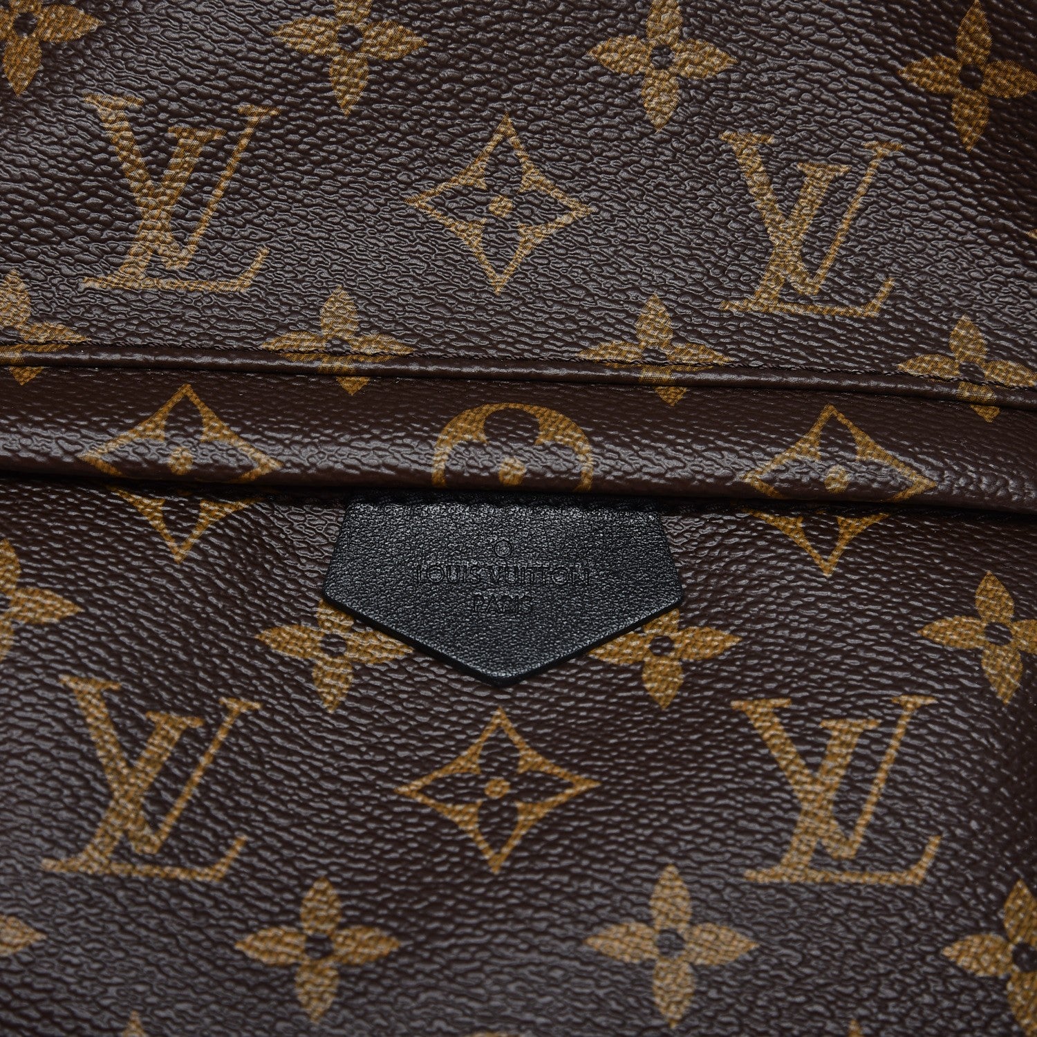 Louis Vuitton Monogram Palm Springs Backpack PM 5 of 8
