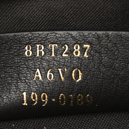 Fendi Glazed Fabric Vitello Century FF 1974 Stamp Patch Camera Case Mogano Panna Caramello 7 of 8