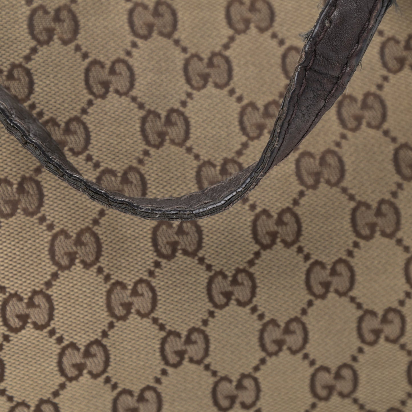 Monogram Medium Charlotte Hobo Brown