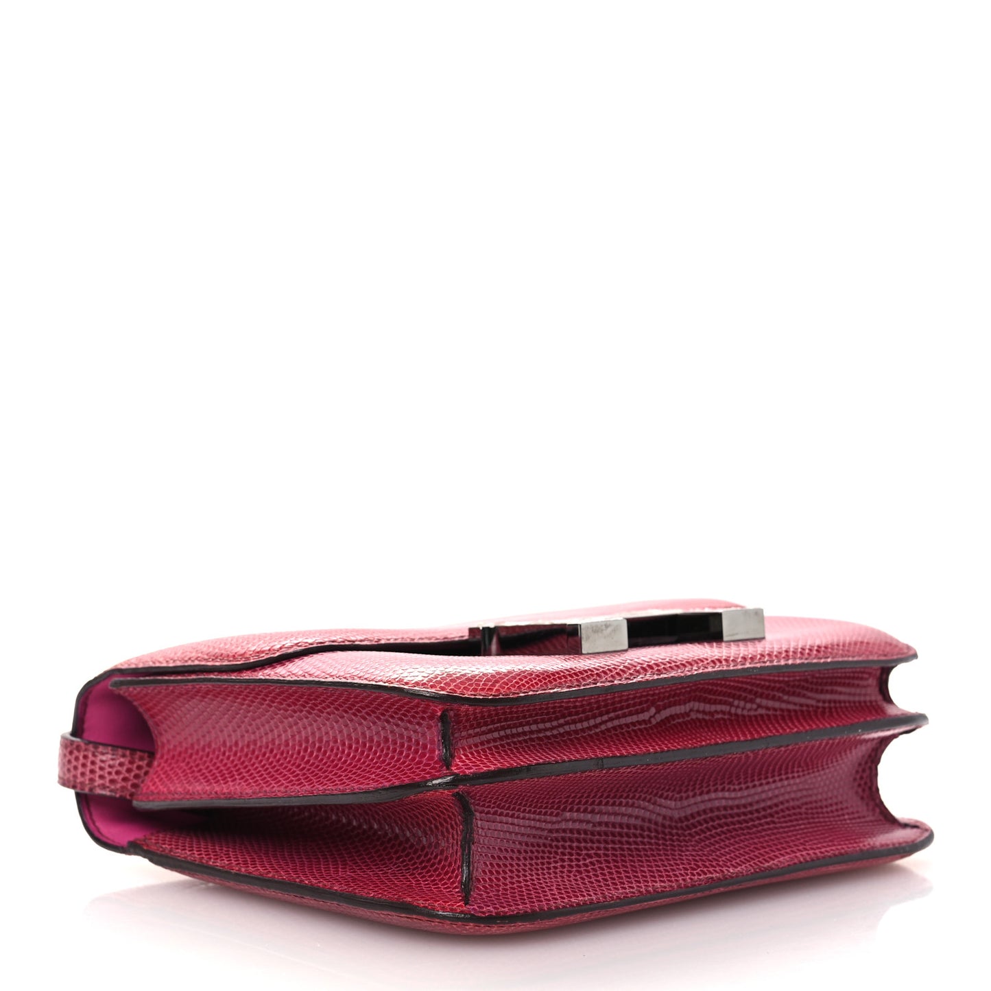 Lizard Constance 18 Fuchsia