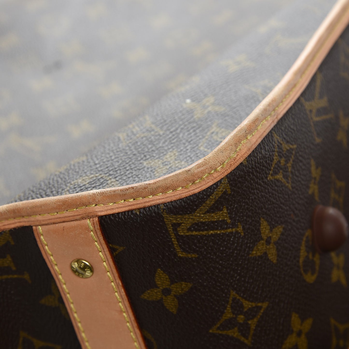Monogram Garment Bag